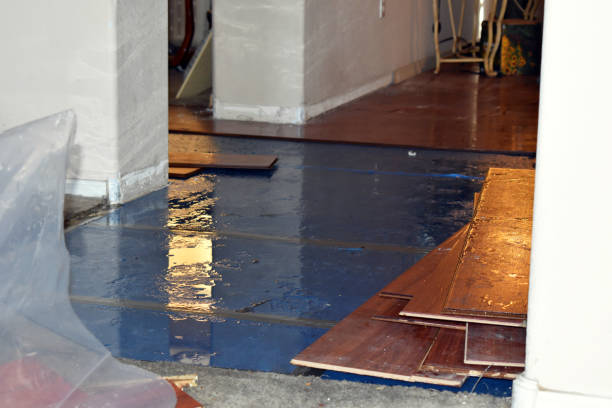 Professional Burst Pipe Cleanup technician working in Harpster, OH