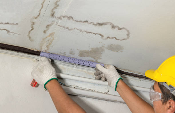 Reliable Burst Pipe Cleanup contractor in Harpster, OH by Water Damage Irwin